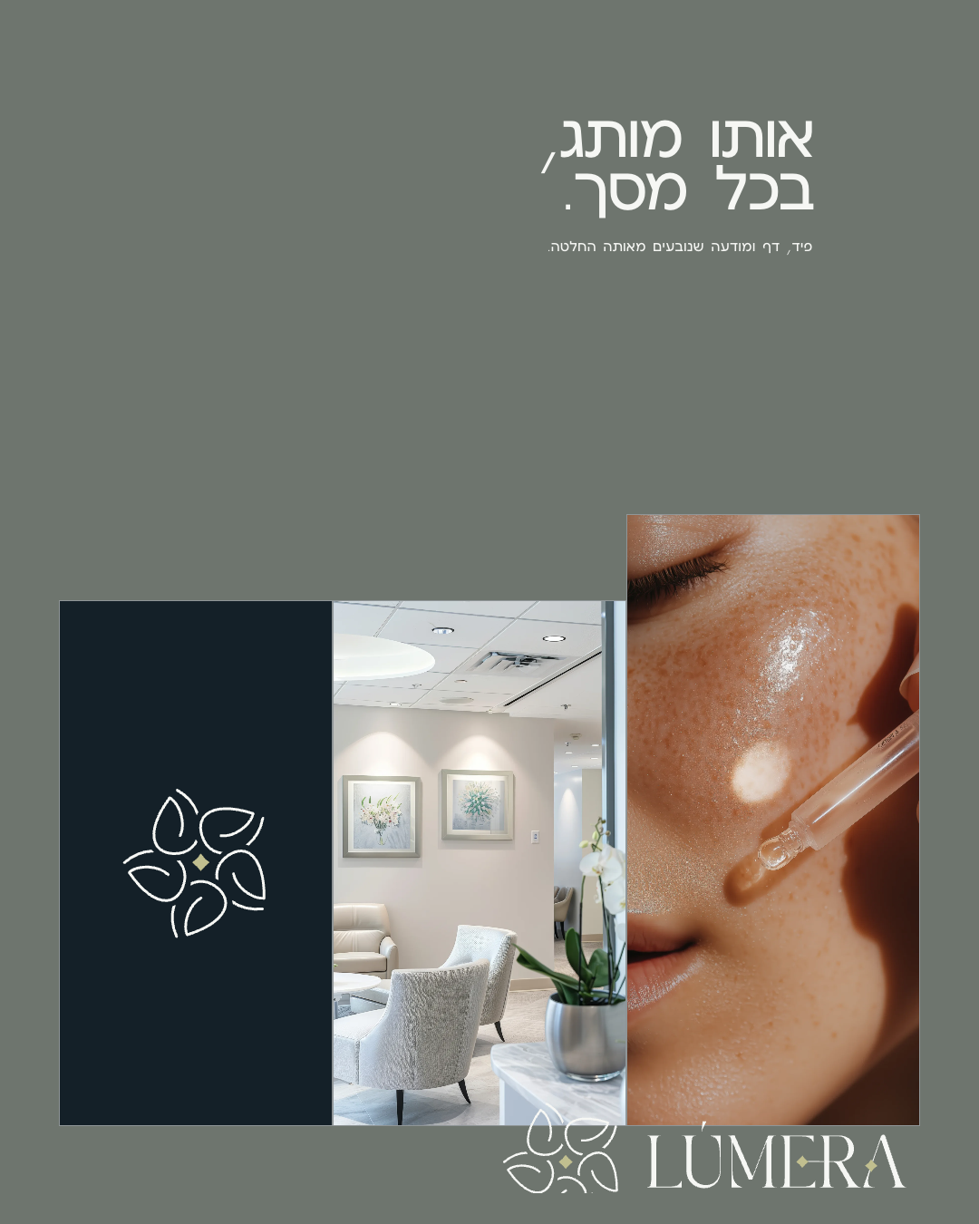 מודעת Feed, אותו מותג בכל מסך