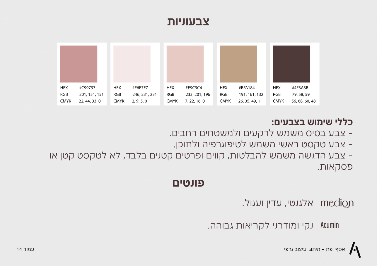 עמוד הצבעוניות והפונטים מספר המותג