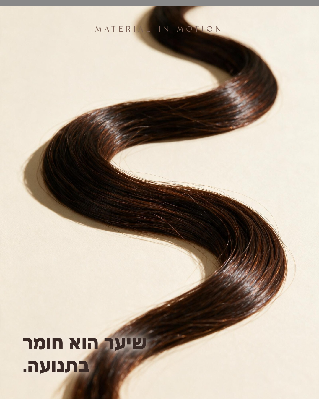 אריח פיד: הידיים והכלים